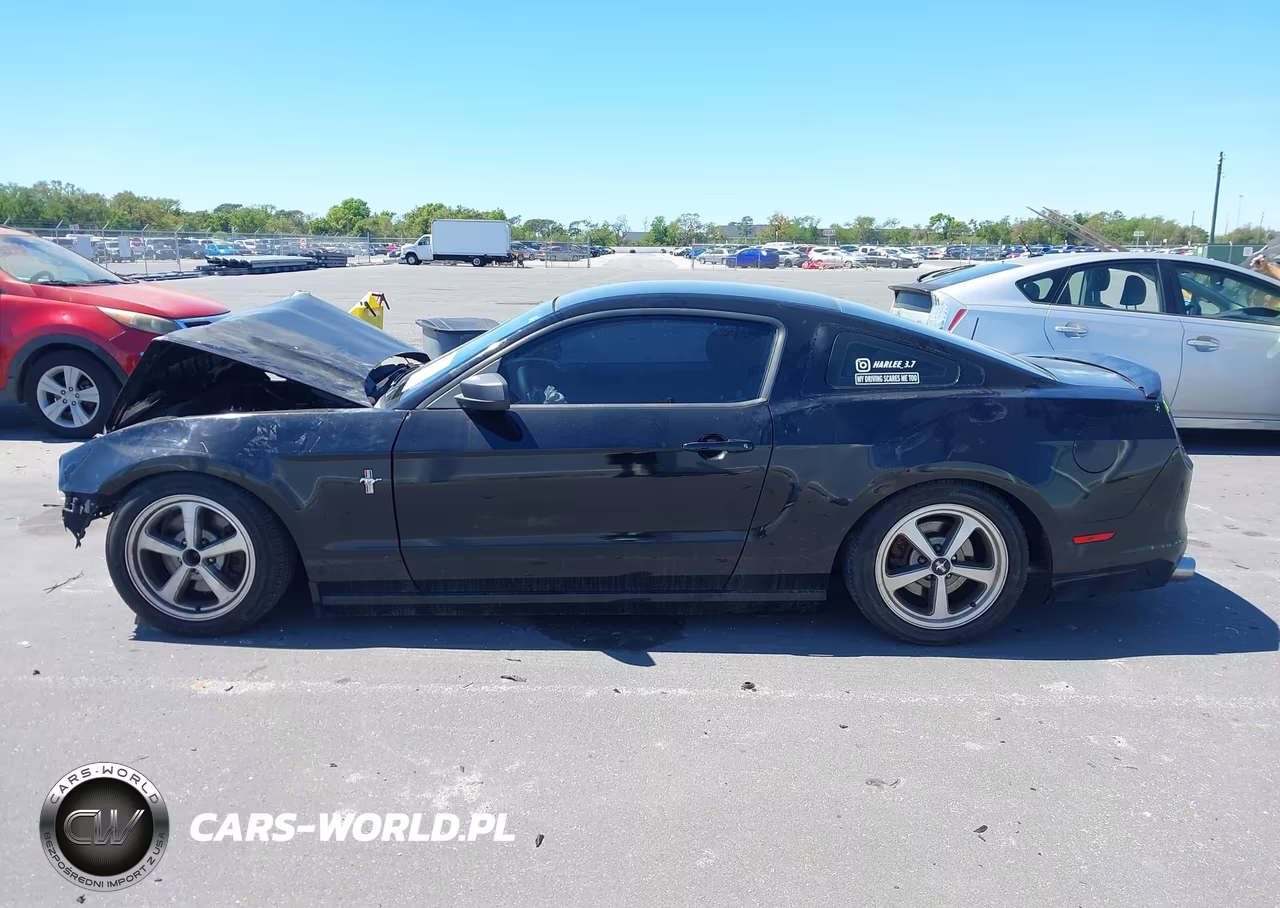 2014 Ford Mustang V6 VIN:1ZVBP8AM8E5334076 - 14