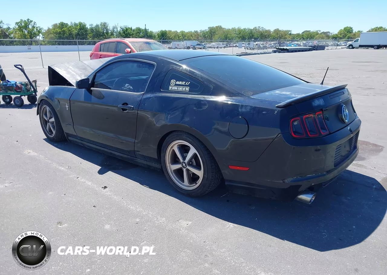 2014 Ford Mustang V6 VIN:1ZVBP8AM8E5334076 - 3