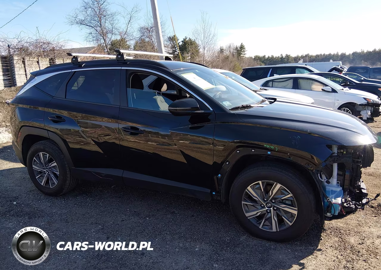 2022 Hyundai Tucson Hybrid Blue VIN:KM8JBCA17NU031068 - 13