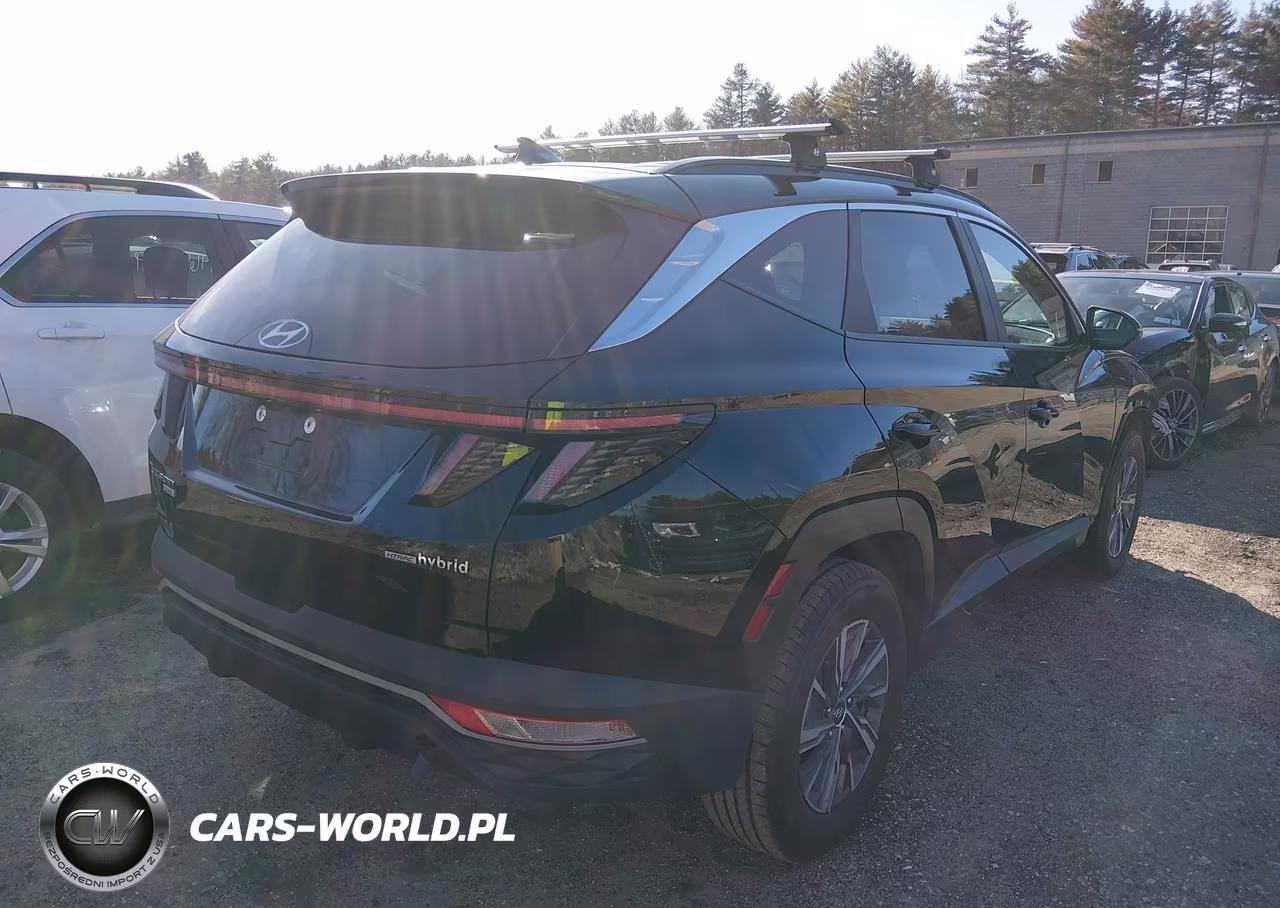 2022 Hyundai Tucson Hybrid Blue VIN:KM8JBCA17NU031068 - 4