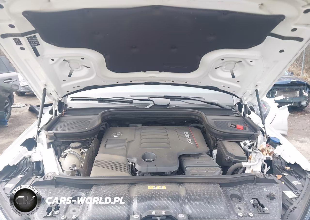 2023 Mercedes-Benz Amg Gle 53 Coupe 4Matic VIN:4JGFD6BB2PA961277 - 10