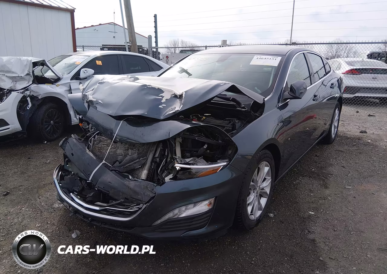 2019 Chevrolet Malibu Lt VIN:1G1ZD5ST7KF181333 - 2