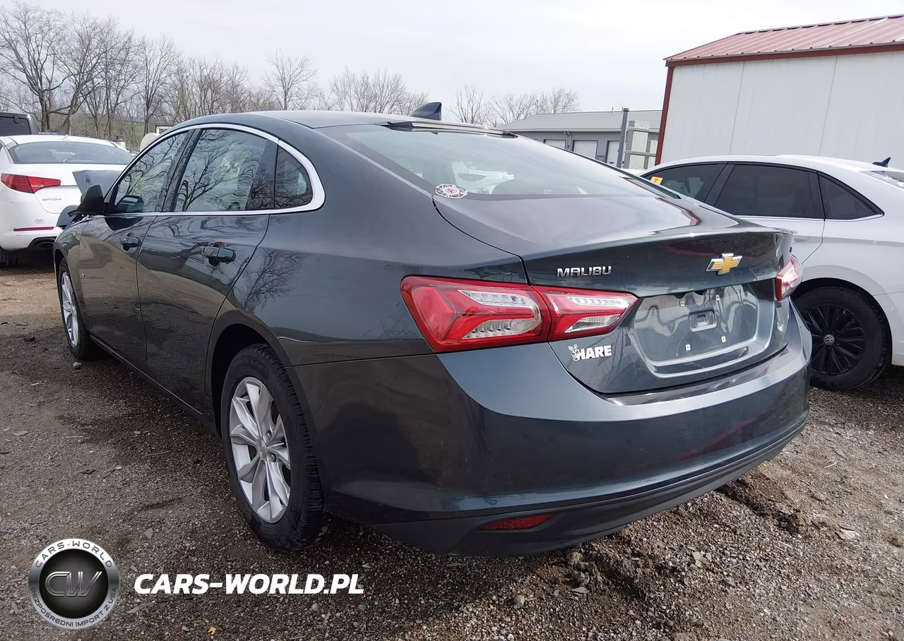 2019 Chevrolet Malibu Lt VIN:1G1ZD5ST7KF181333 - 3