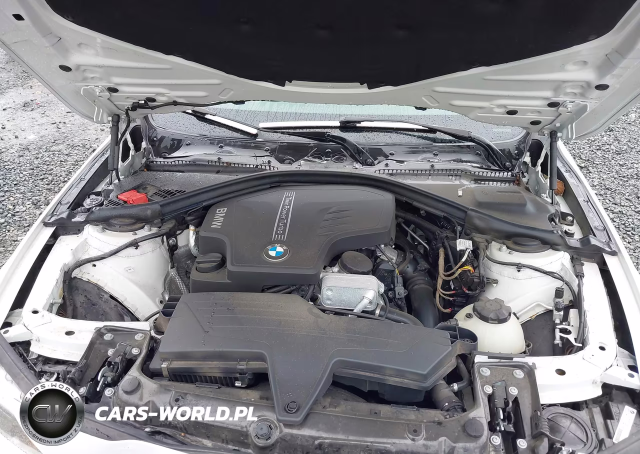 2013 BMW 320I VIN:WBA3B1C51DF462412 - 10