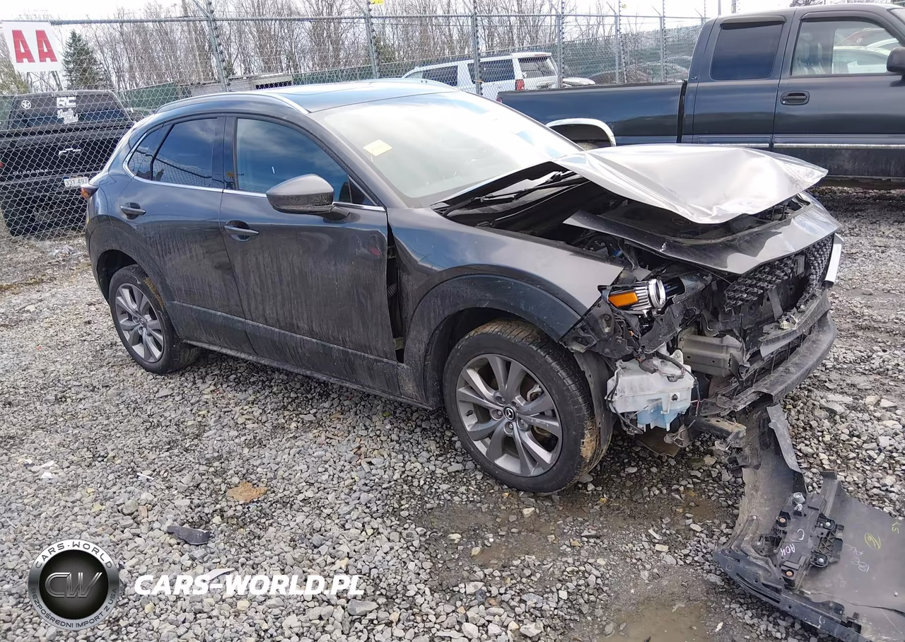 2020 Mazda Cx-30 Premium Package
