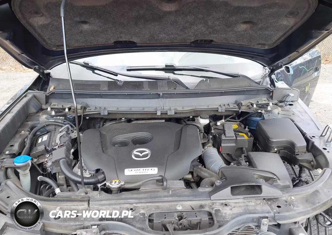 2022 Mazda Cx-9 Touring VIN:JM3TCBCY4N0623038 - 10