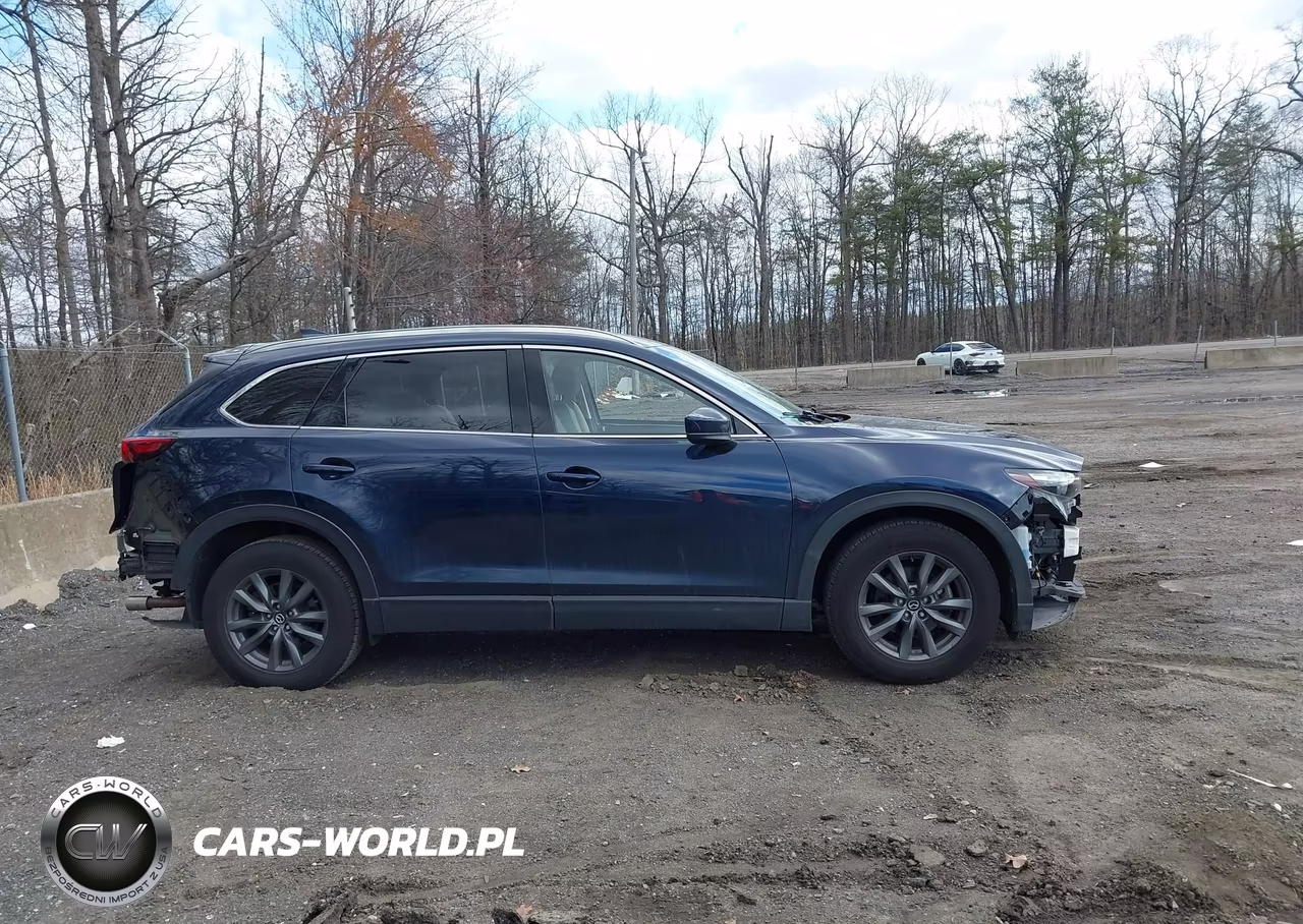 2022 Mazda Cx-9 Touring VIN:JM3TCBCY4N0623038 - 13