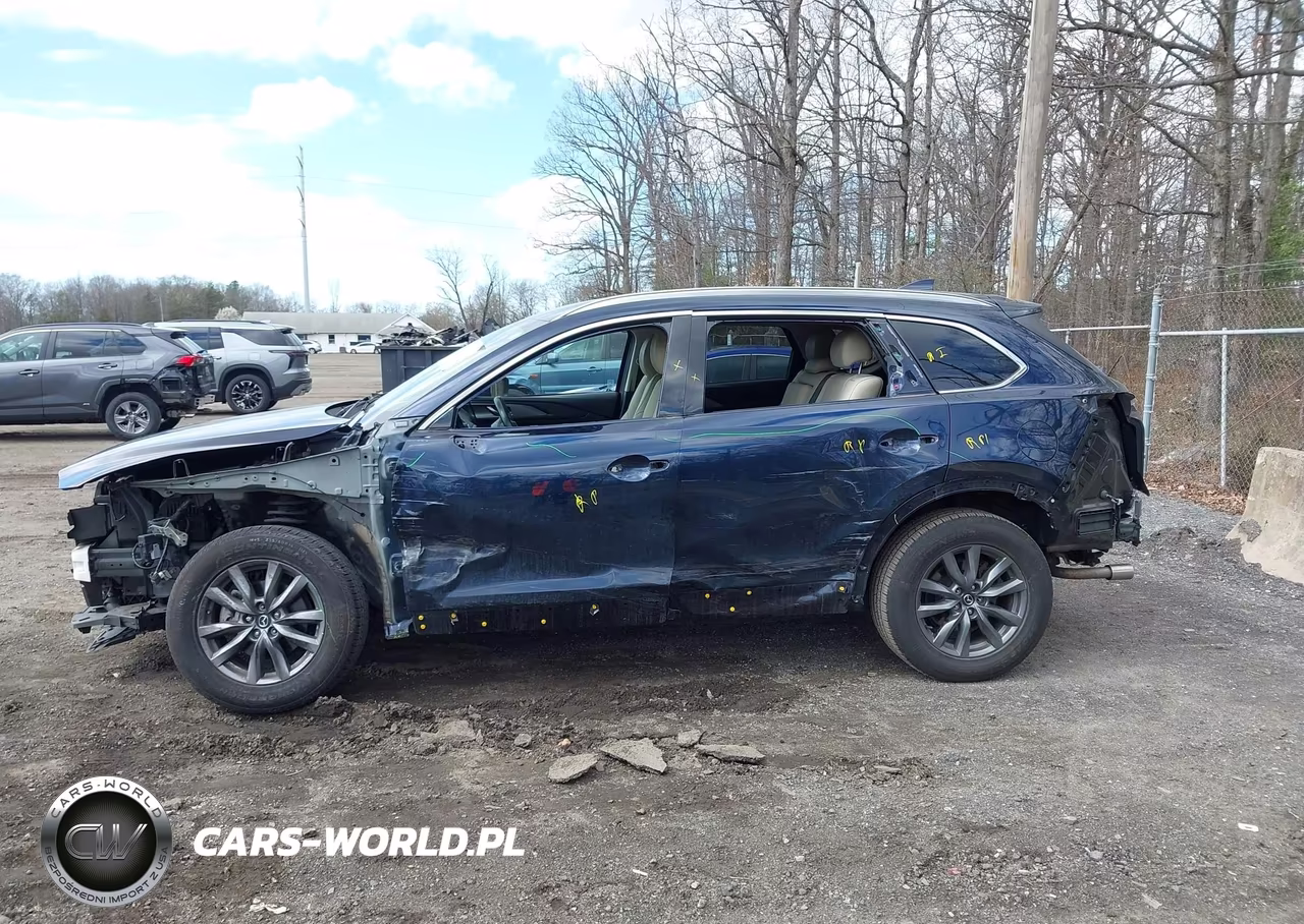2022 Mazda Cx-9 Touring VIN:JM3TCBCY4N0623038 - 14