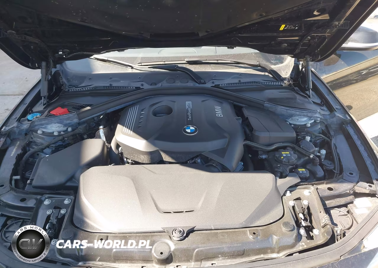 2017 BMW 430I Gran Coupe xDrive VIN:WBA4F9C50HG791822 - 10