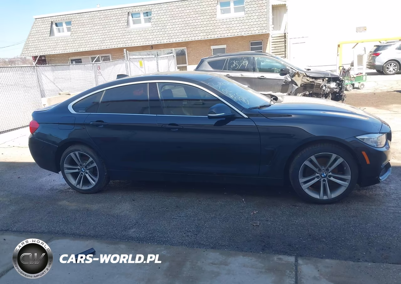 2017 BMW 430I Gran Coupe xDrive VIN:WBA4F9C50HG791822 - 12