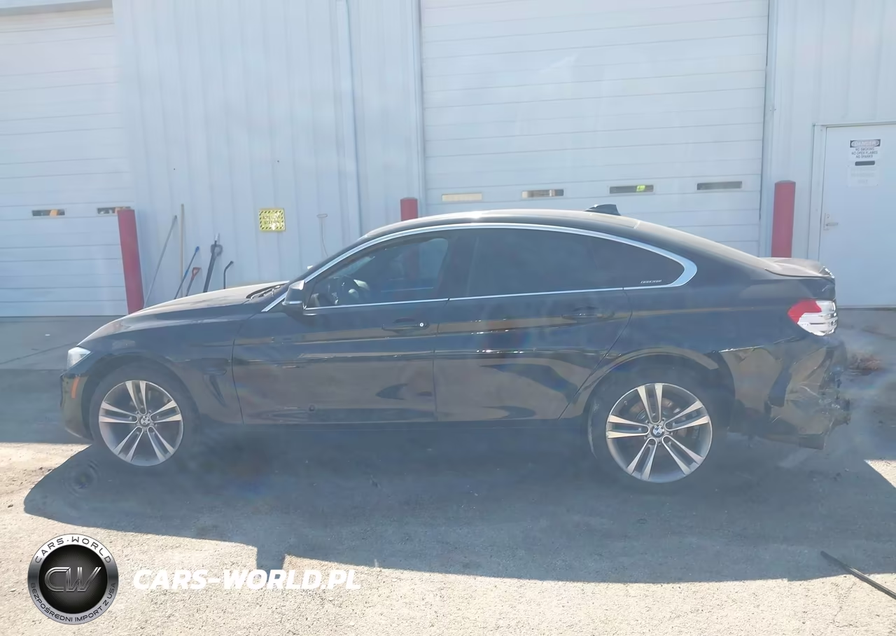 2017 BMW 430I Gran Coupe xDrive VIN:WBA4F9C50HG791822 - 13