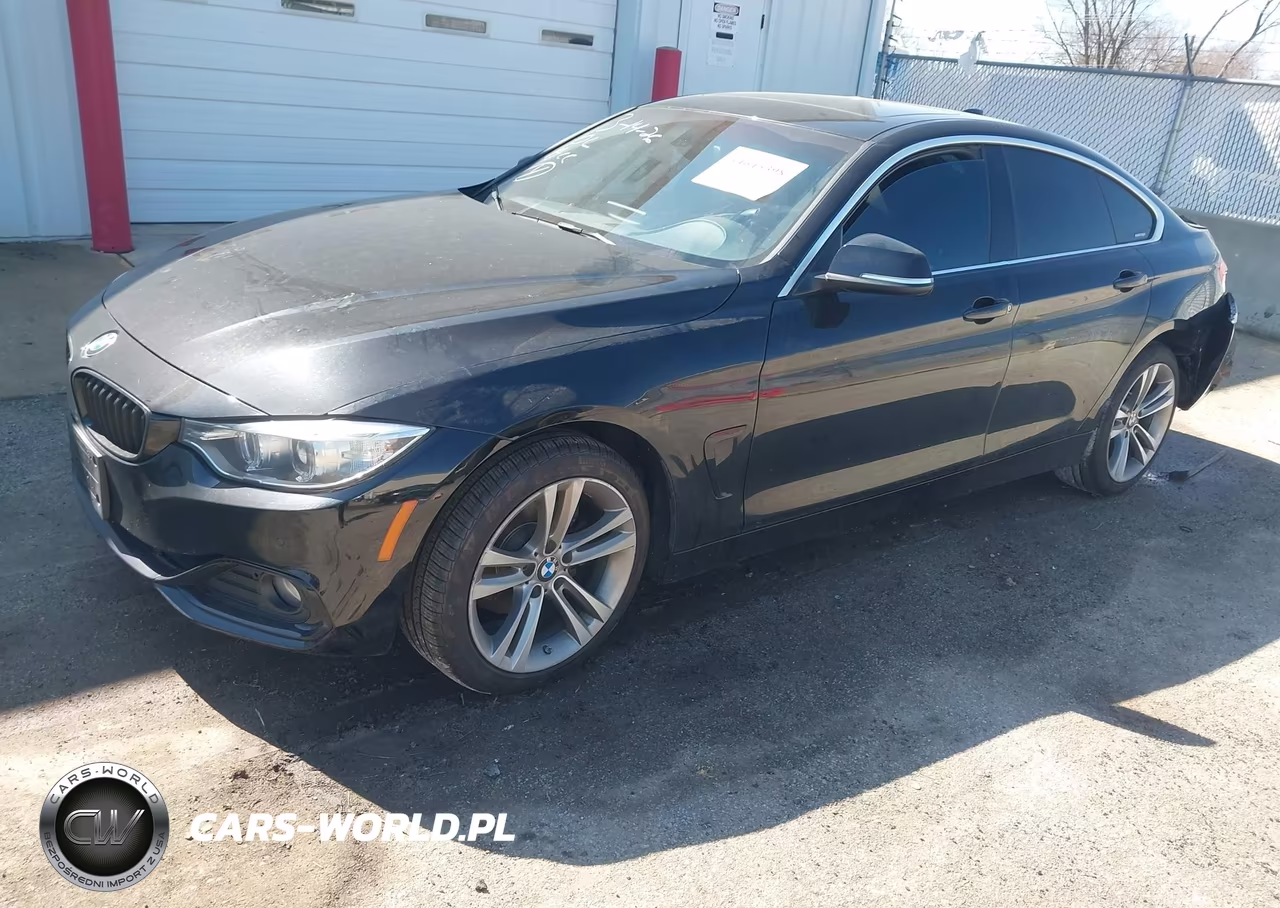 2017 BMW 430I Gran Coupe xDrive VIN:WBA4F9C50HG791822 - 2