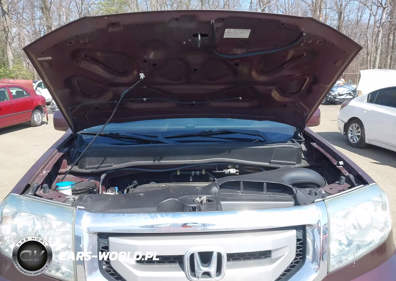 2011 Honda Pilot Ex-L VIN:5FNYF4H6XBB011593 - 10