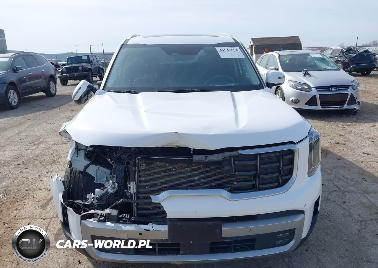 2023 Kia Telluride Sx Prestige VIN:5XYP5DGC0PG369615 - 12