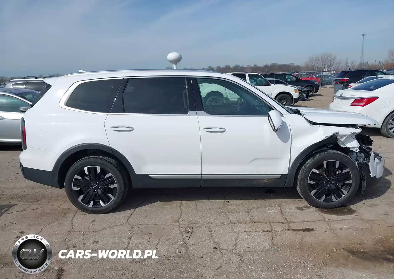 2023 Kia Telluride Sx Prestige VIN:5XYP5DGC0PG369615 - 13