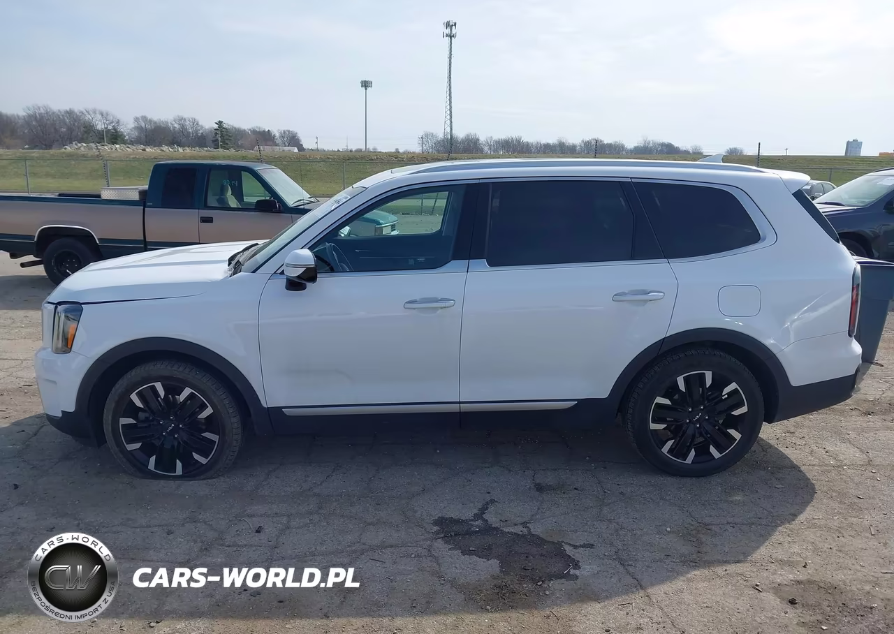2023 Kia Telluride Sx Prestige VIN:5XYP5DGC0PG369615 - 14