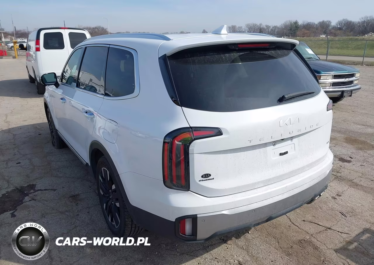2023 Kia Telluride Sx Prestige VIN:5XYP5DGC0PG369615 - 3
