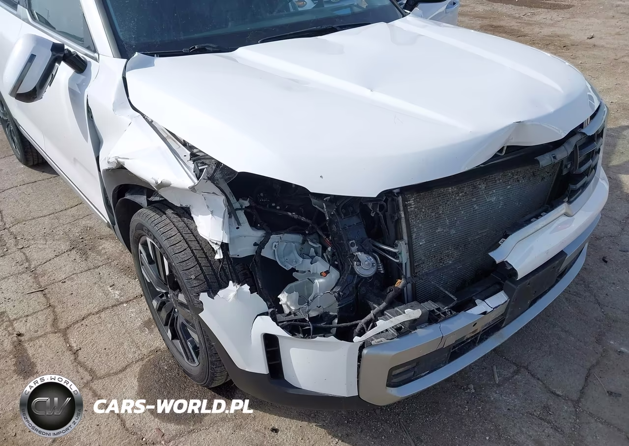 2023 Kia Telluride Sx Prestige VIN:5XYP5DGC0PG369615 - 6