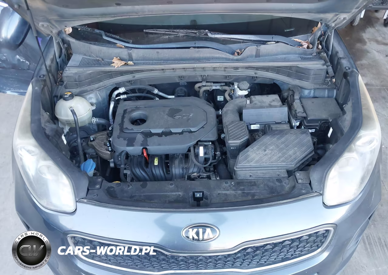 2017 Kia Sportage Lx VIN:KNDPM3AC6H7136245 - 10