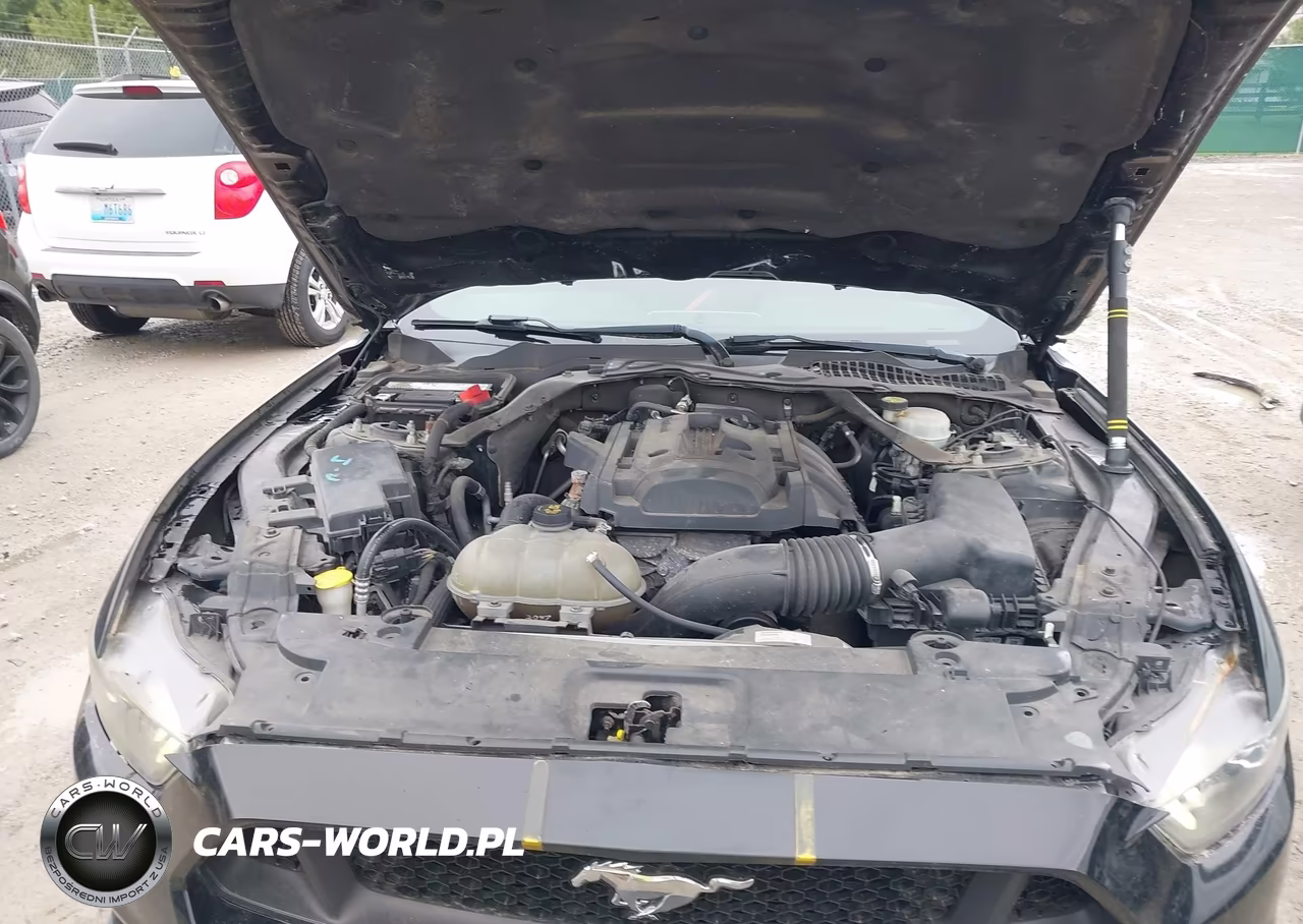 2015 Ford Mustang Ecoboost Premium VIN:1FATP8UH8F5367835 - 10