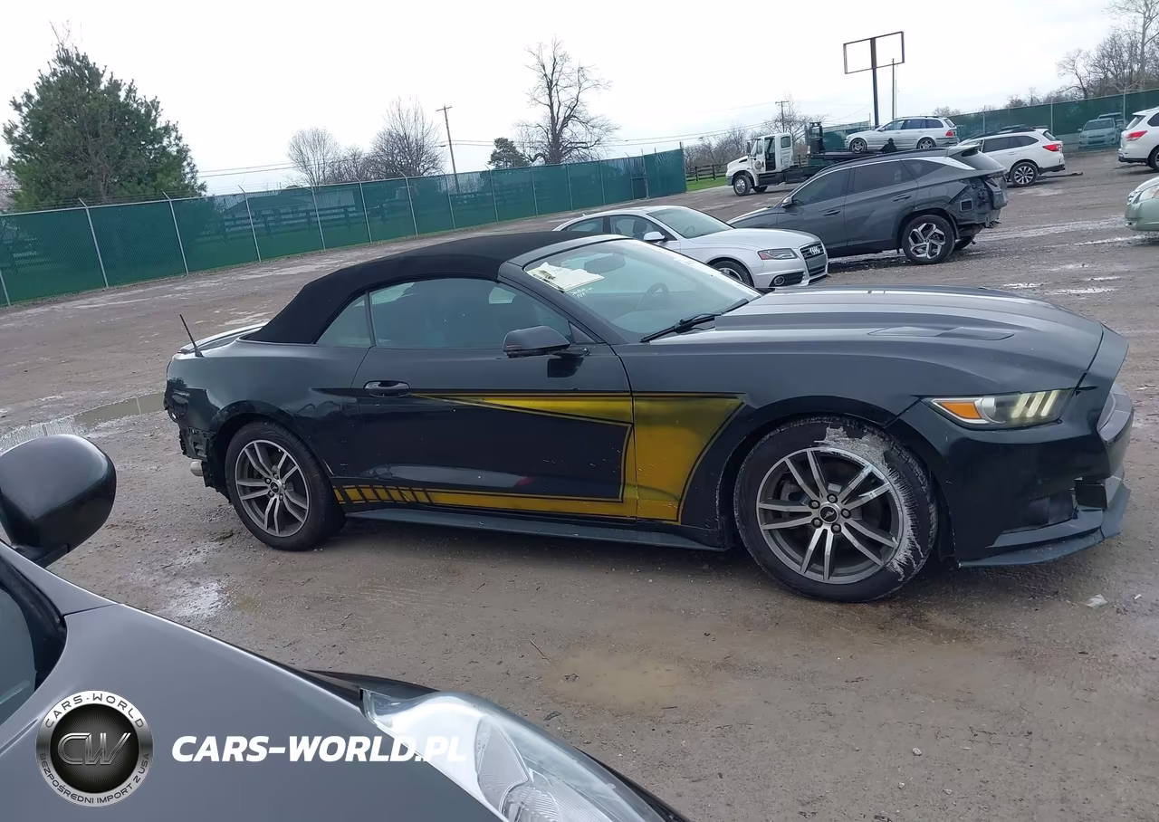 2015 Ford Mustang Ecoboost Premium VIN:1FATP8UH8F5367835 - 13