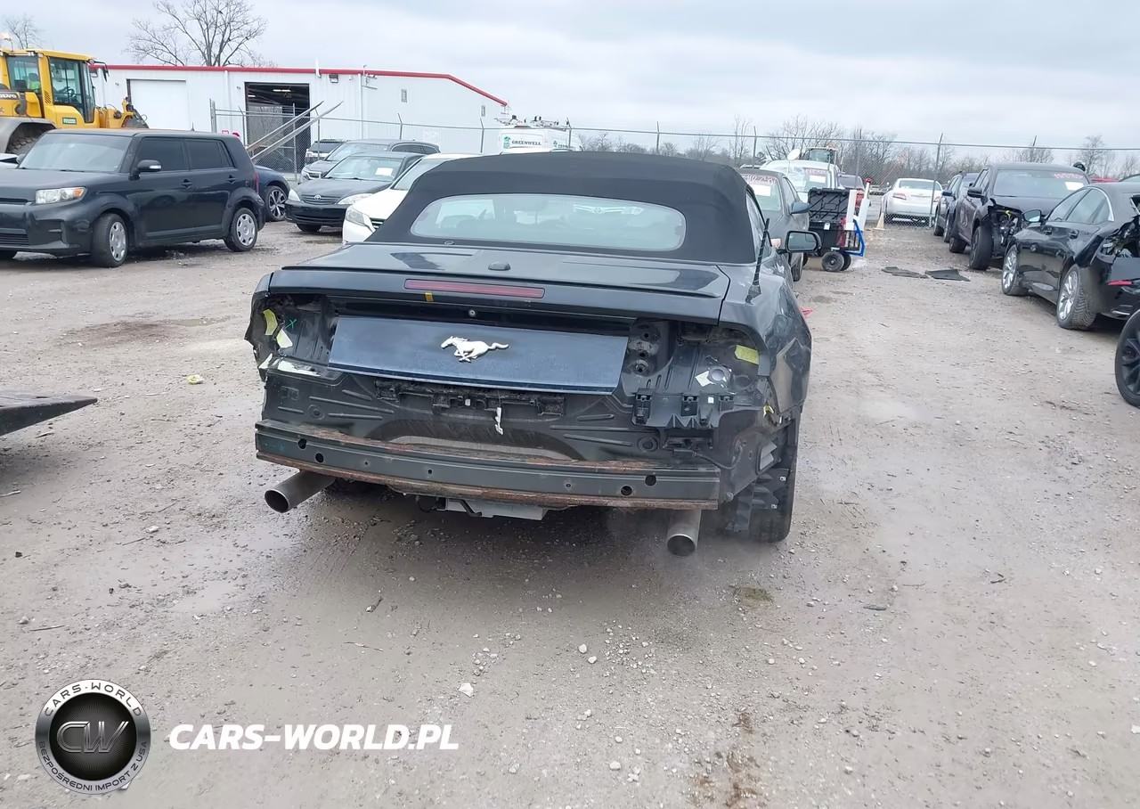 2015 Ford Mustang Ecoboost Premium VIN:1FATP8UH8F5367835 - 16