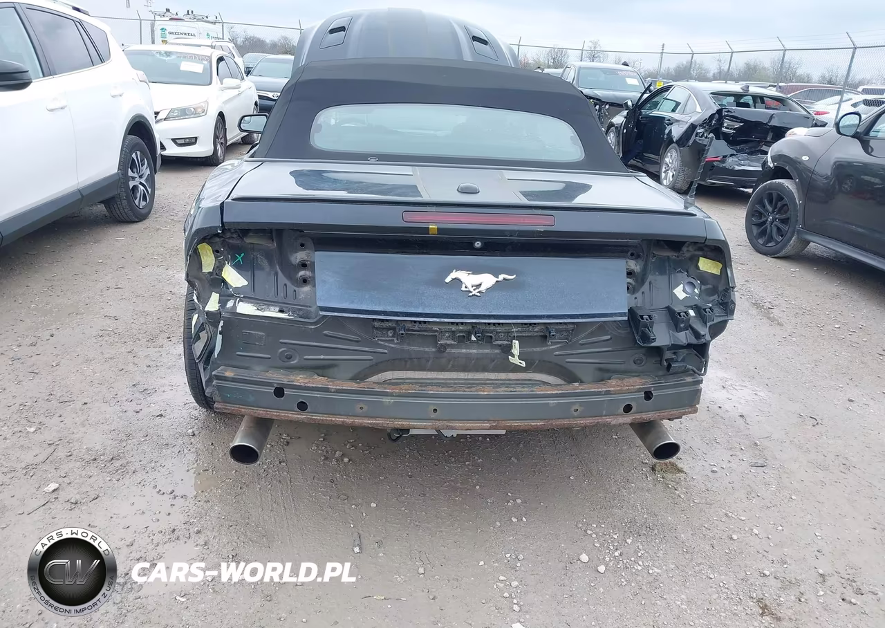 2015 Ford Mustang Ecoboost Premium VIN:1FATP8UH8F5367835 - 6