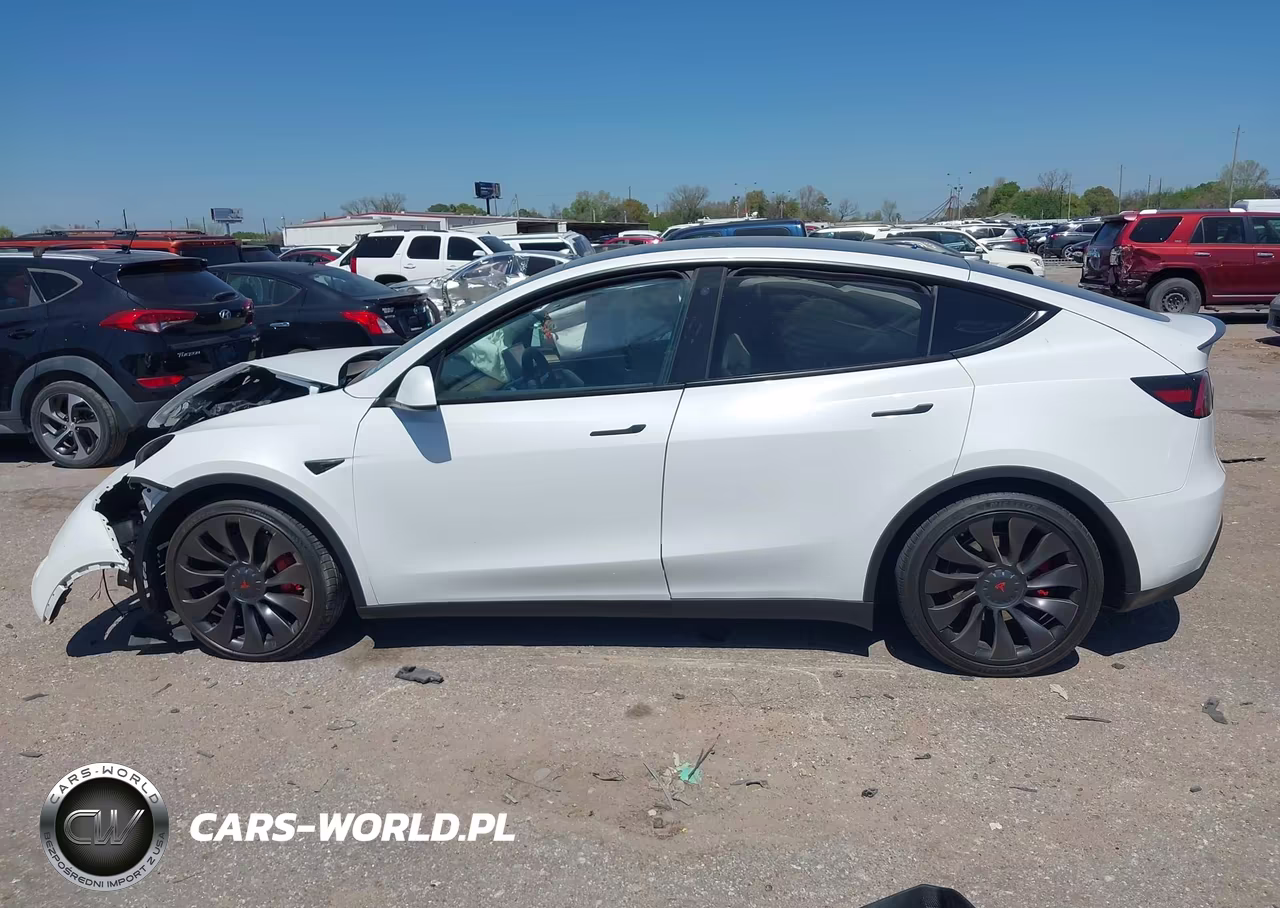 2023 Tesla Model Y Performance Dual Motor All-Wheel Drive VIN:7SAYGDEFXPF701775 - 13