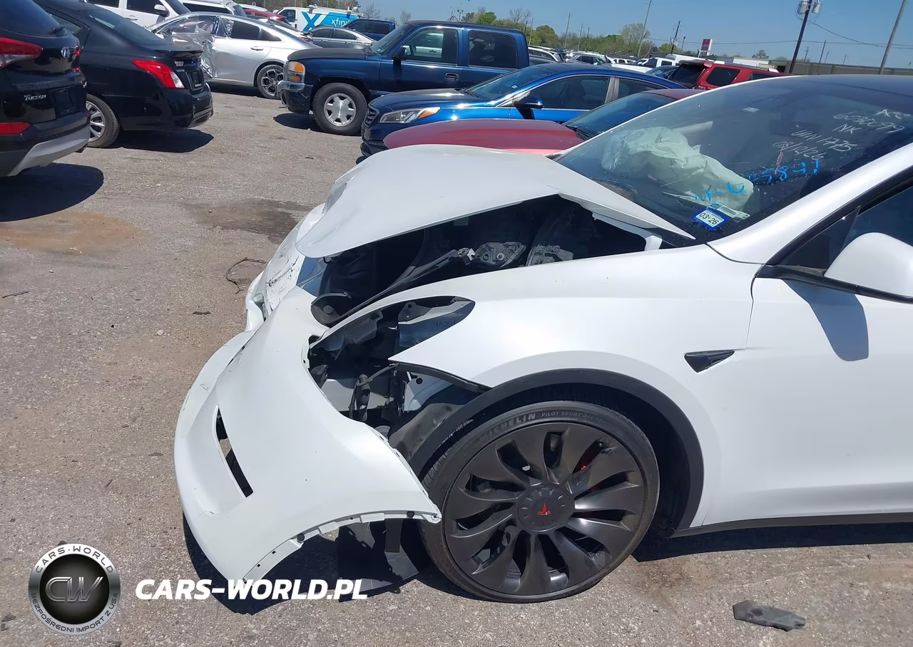 2023 Tesla Model Y Performance Dual Motor All-Wheel Drive VIN:7SAYGDEFXPF701775 - 6