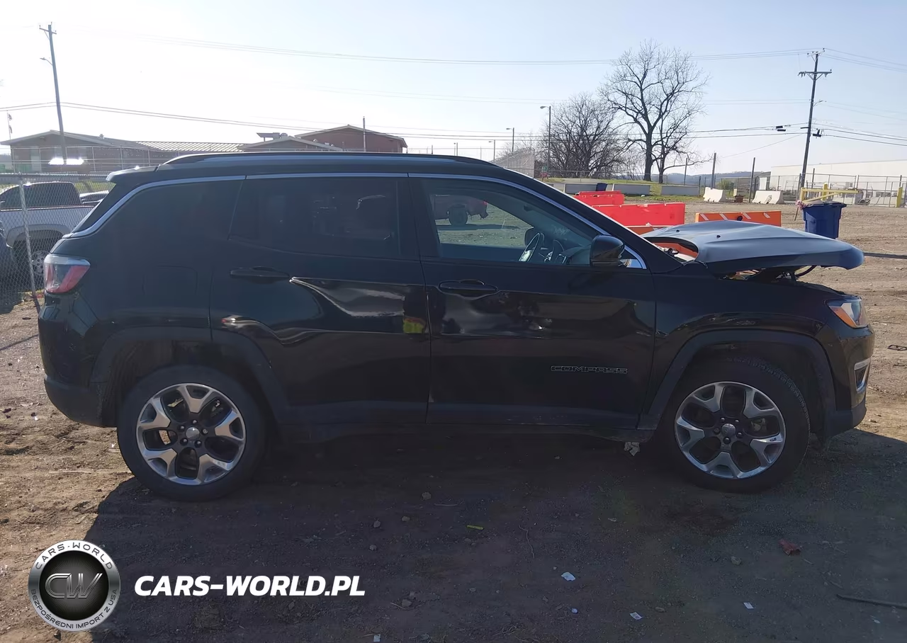 2019 Jeep Compass Limited 4X4 VIN:3C4NJDCB4KT742141 - 13