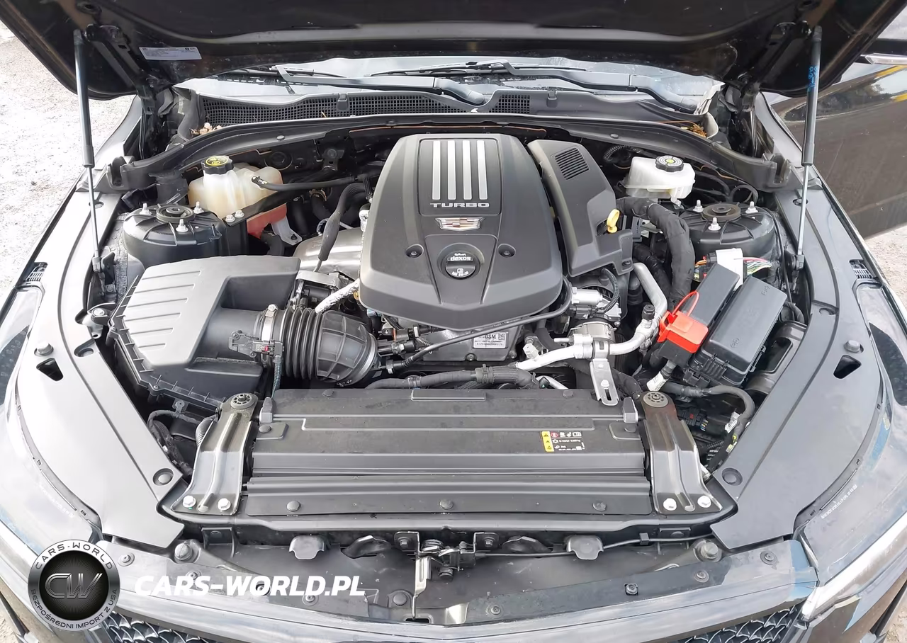 2020 Cadillac Ct4 V-Series VIN:1G6DH5RL4L0144341 - 10