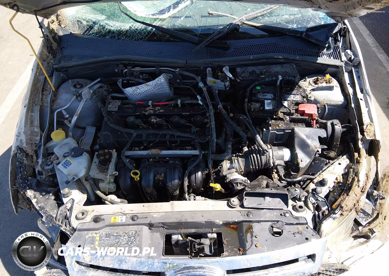 2010 Ford Focus Se VIN:1FAHP3FN8AW159355 - 14