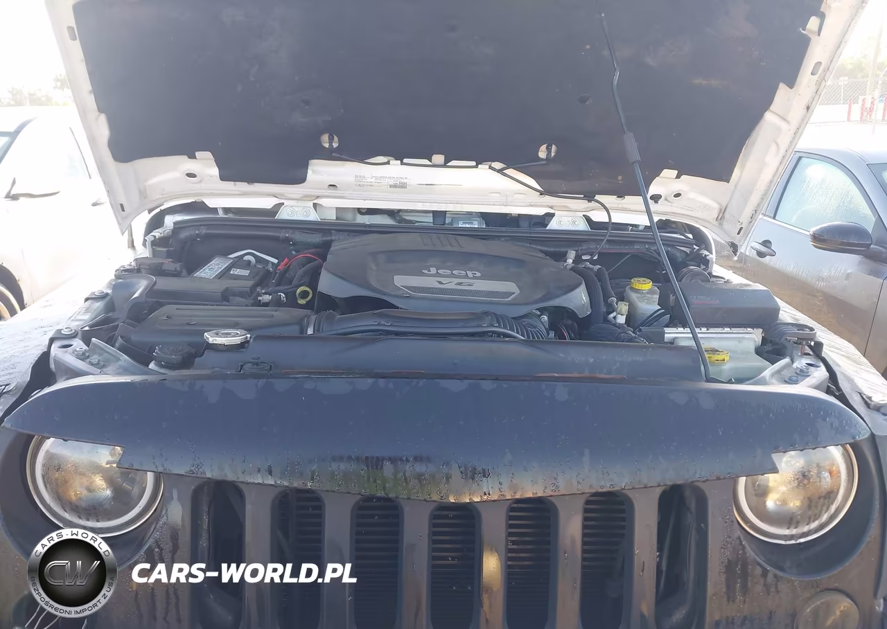 2017 Jeep Wrangler Unlimited Rubicon 4X4 VIN:1C4BJWFG3HL522628 - 10