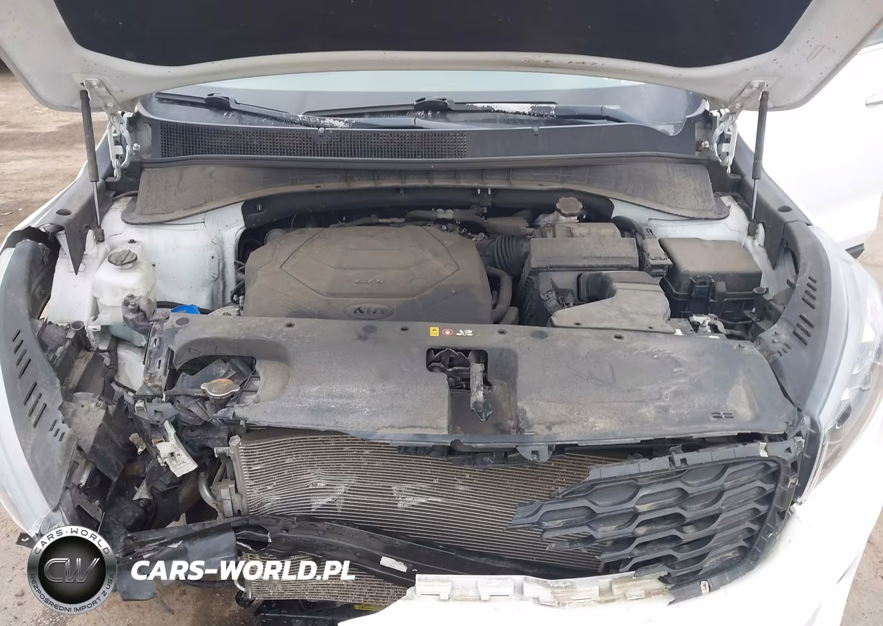 2019 Kia Sorento 3.3L S VIN:5XYPGDA55KG583769 - 10