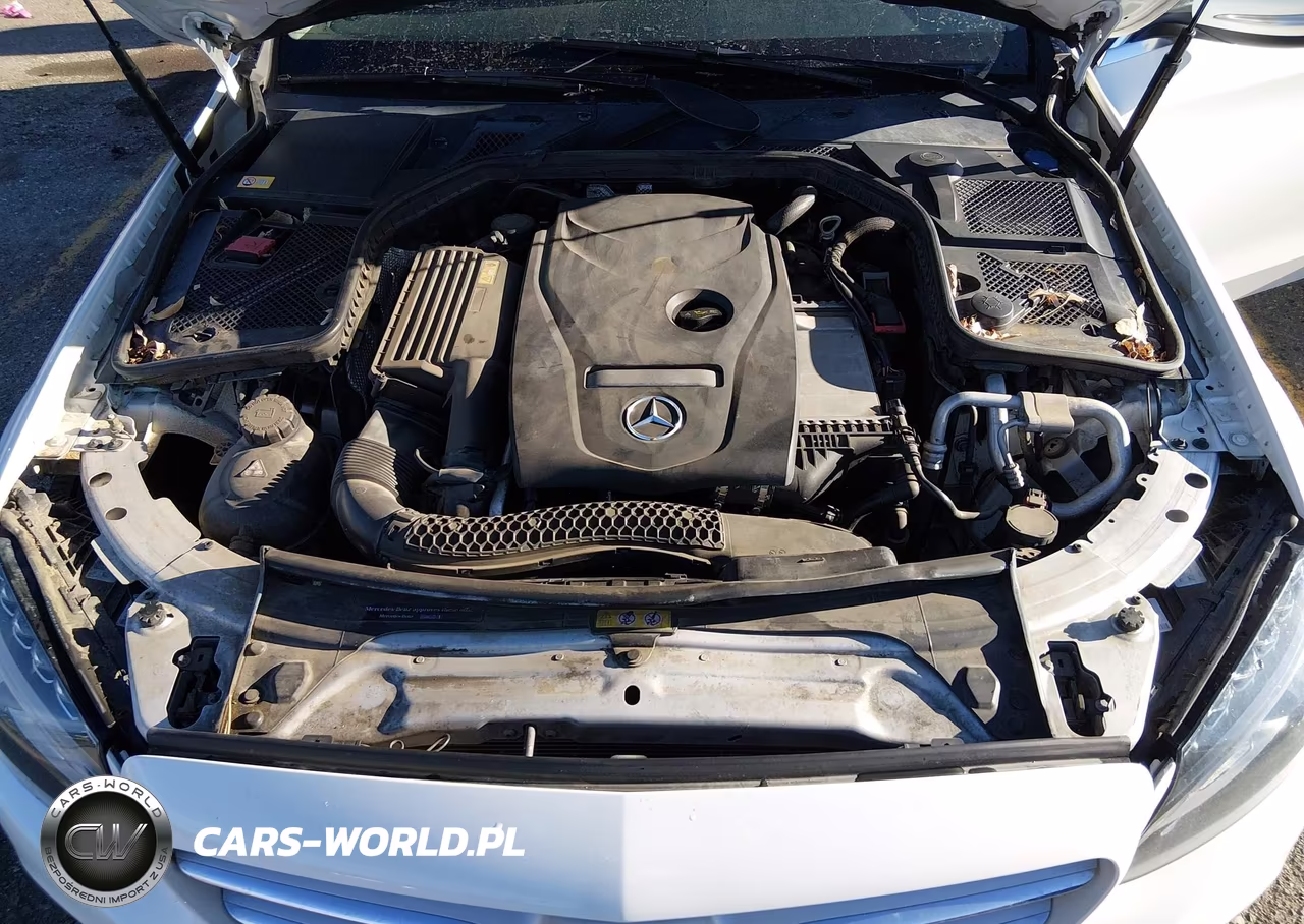 2015 Mercedes-Benz C 300 4Matic VIN:55SWF4KB2FU027501 - 10