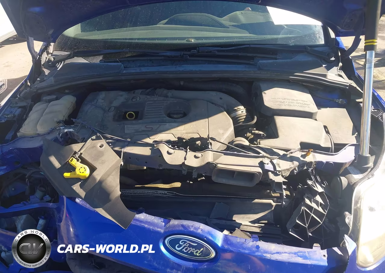 2014 Ford Focus St VIN:1FADP3L99EL317022 - 10