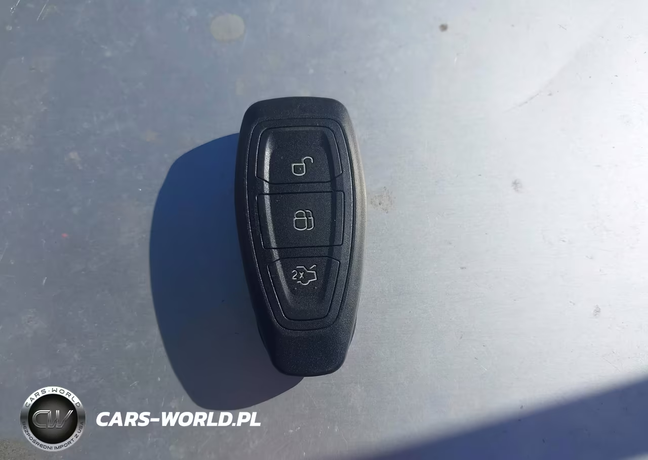2014 Ford Focus St VIN:1FADP3L99EL317022 - 11