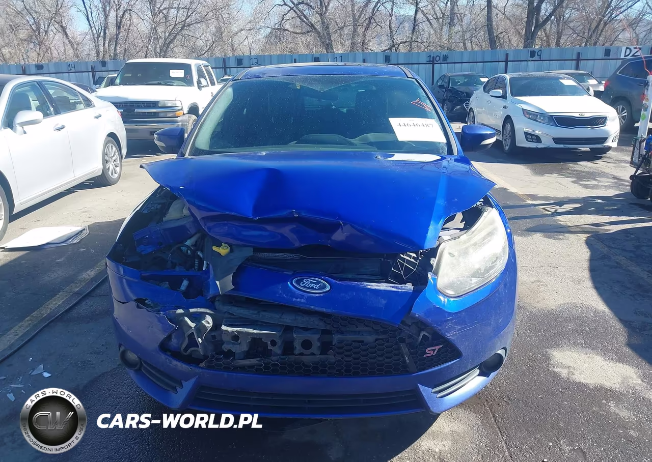 2014 Ford Focus St VIN:1FADP3L99EL317022 - 12
