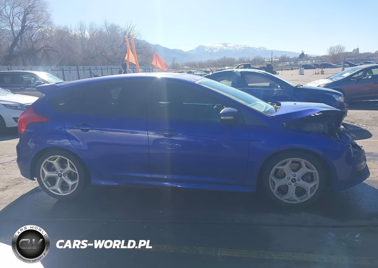 2014 Ford Focus St VIN:1FADP3L99EL317022 - 13