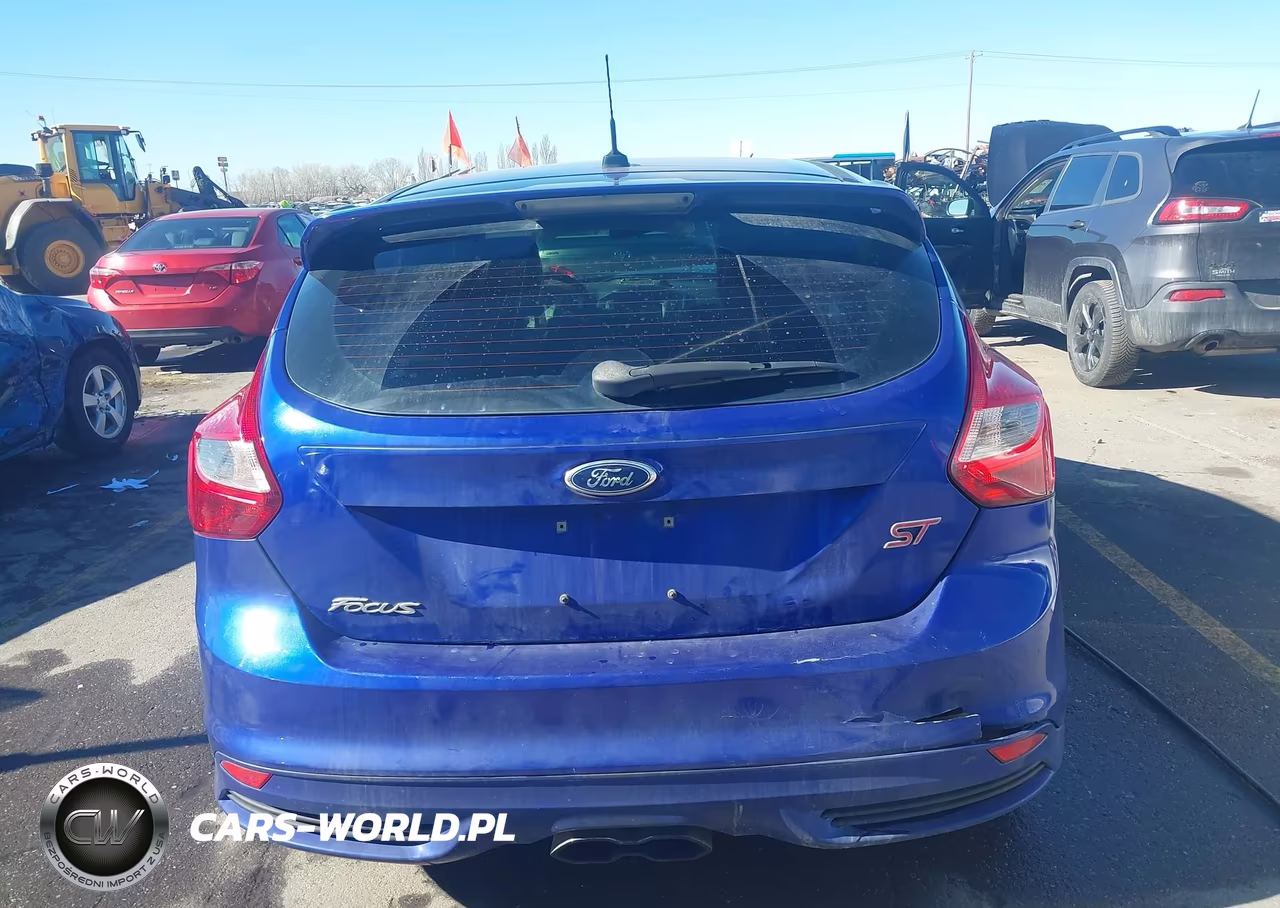 2014 Ford Focus St VIN:1FADP3L99EL317022 - 16