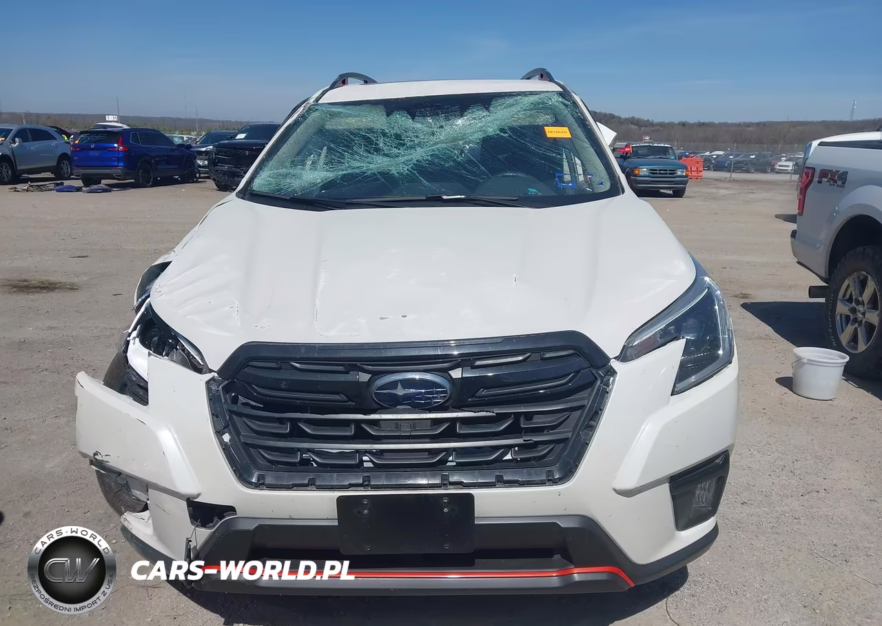 2023 Subaru Forester Sport VIN:JF2SKAJC7PH503443 - 12