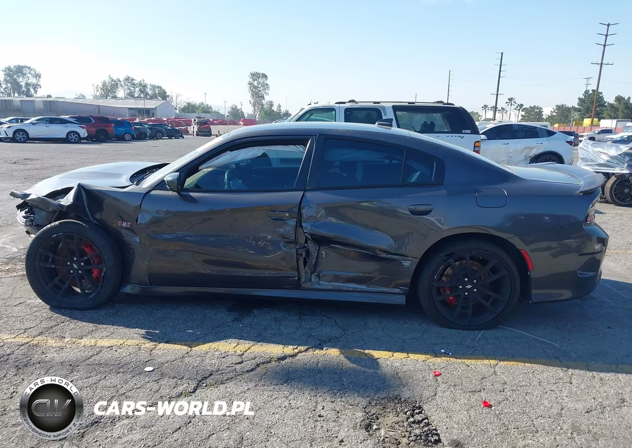 2018 Dodge Charger Daytona 392 Rwd VIN:2C3CDXGJ6JH188842 - 14