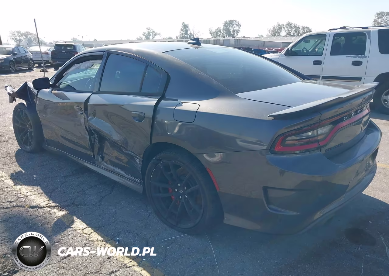 2018 Dodge Charger Daytona 392 Rwd VIN:2C3CDXGJ6JH188842 - 3