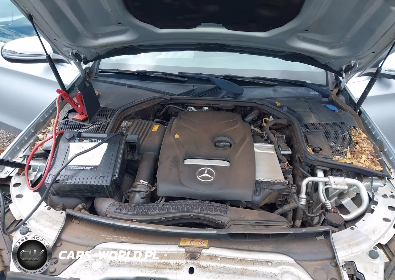 2018 Mercedes-Benz C 300 VIN:55SWF4JB0JU266734 - 10
