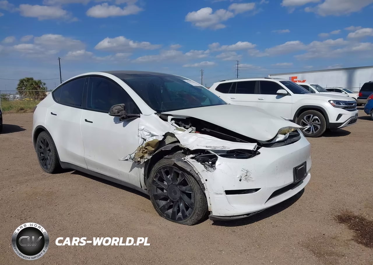 2020 Tesla Model Y