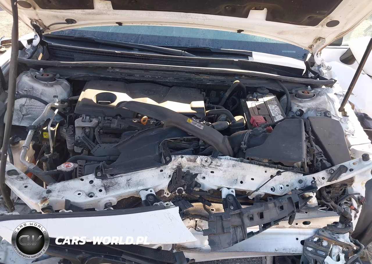 2019 Toyota Camry Se VIN:4T1B11HKXKU238785 - 10