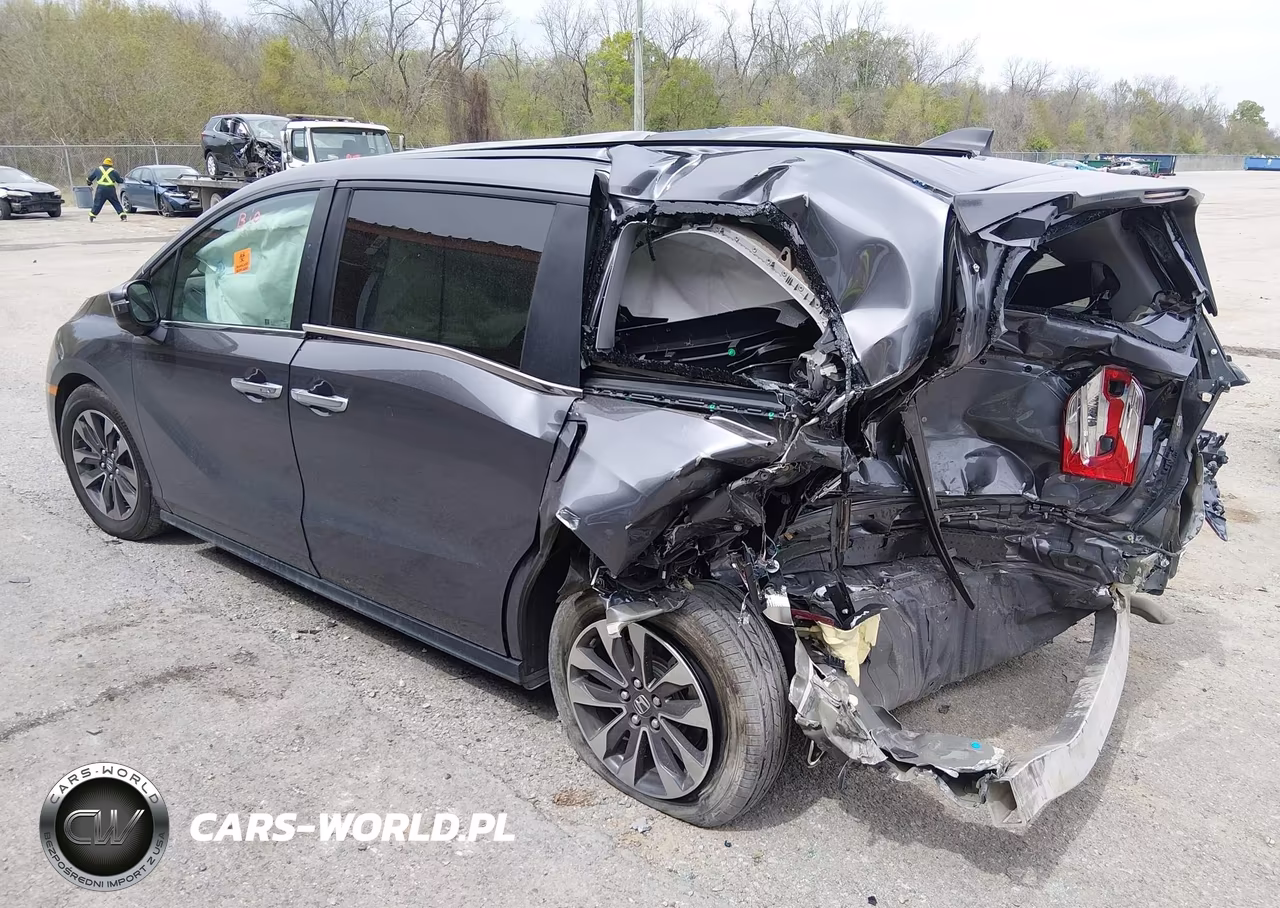 2024 Honda Odyssey Ex-L VIN:5FNRL6H65RB066780 - 3