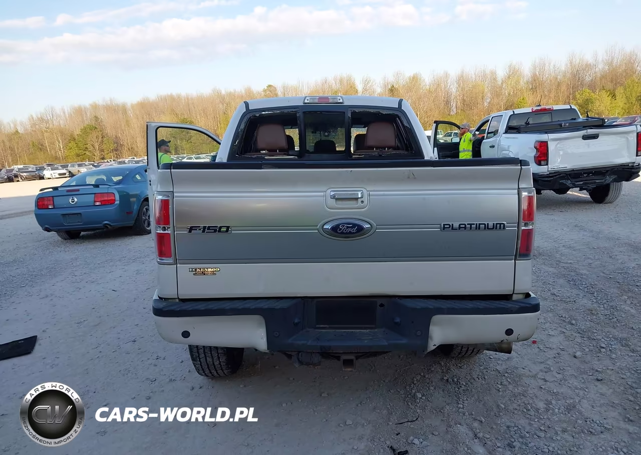 2013 Ford F-150 Platinum VIN:1FTFW1ET2DFD36866 - 15