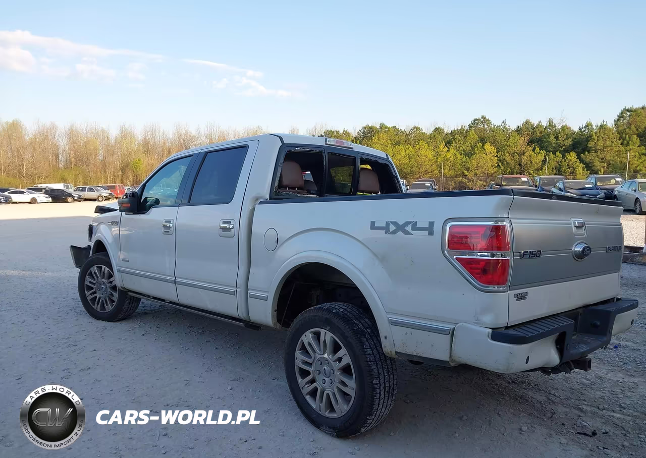 2013 Ford F-150 Platinum VIN:1FTFW1ET2DFD36866 - 3