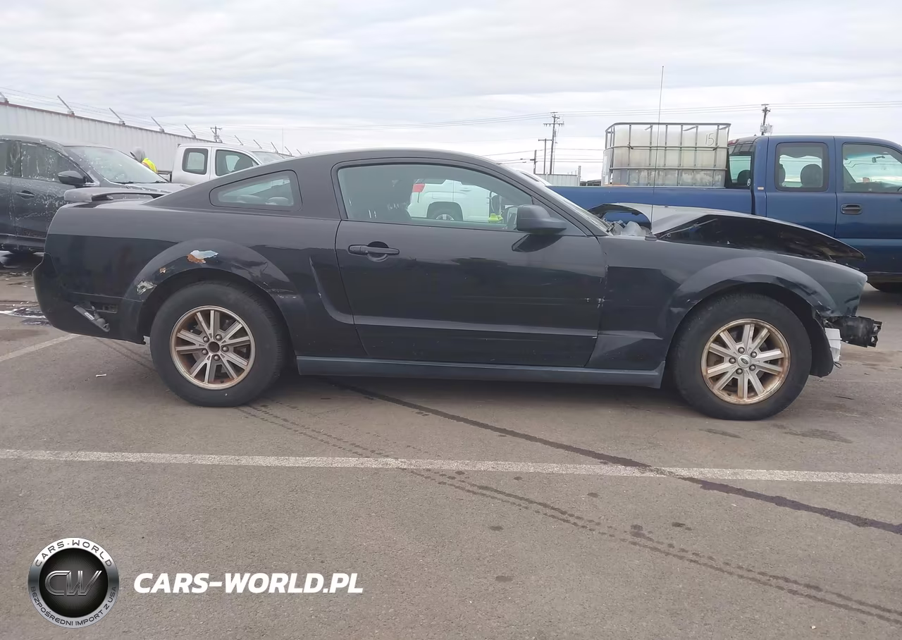 2006 Ford Mustang V6 VIN:1ZVFT80NX65263486 - 14
